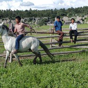 Foto Israel Cárdenas
