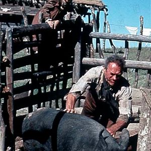 Foto Los imperdonables