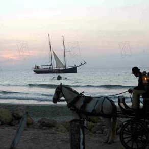 Foto El amor en los tiempos del cólera