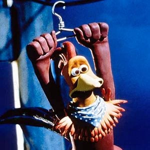 Foto Pollitos en fuga