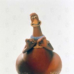 Foto Pollitos en fuga