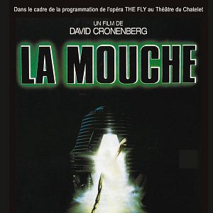 Foto La mosca
