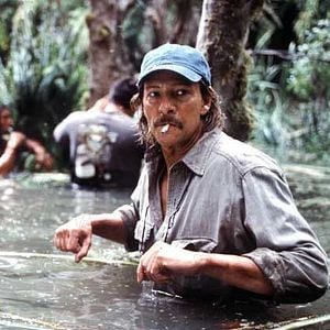 Foto El ladrón de orquídeas