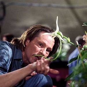 Foto El ladrón de orquídeas