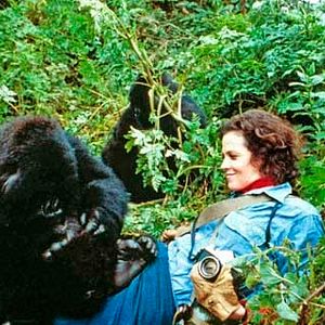 Foto Sigourney Weaver