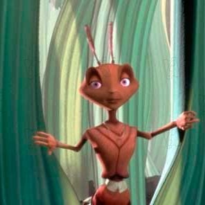 Foto Antz: Hormiguitaz