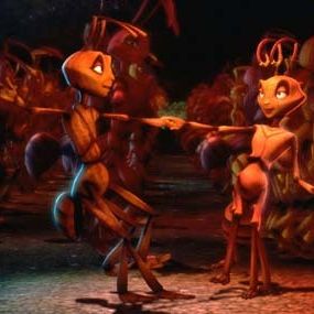 Foto Antz: Hormiguitaz