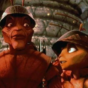 Foto Antz: Hormiguitaz