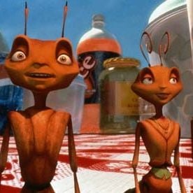 Foto Antz: Hormiguitaz