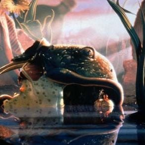 Foto Antz: Hormiguitaz