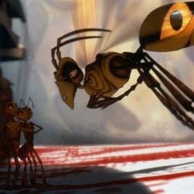 Foto Antz: Hormiguitaz