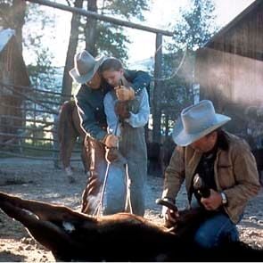 Foto El señor de los caballos