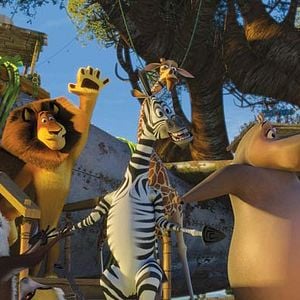 Foto Madagascar 2