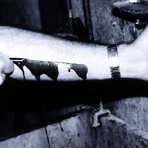 Foto George A. Romero