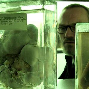 Foto Ingvar Sigurðsson