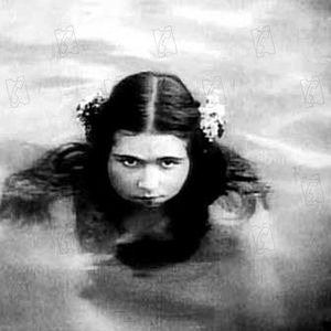 Foto El jardín de la alegría