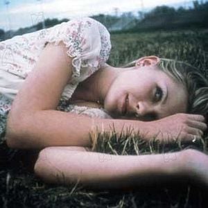 Foto Las vírgenes suicidas