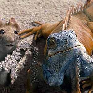 Foto Un chihuahua de Beverly Hills