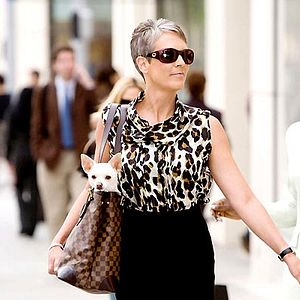 Foto Un chihuahua de Beverly Hills