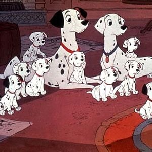 Foto 101 dálmatas: La noche de las narices frías