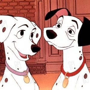 Foto 101 dálmatas: La noche de las narices frías