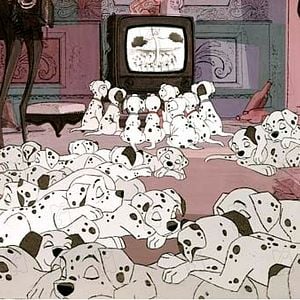 Foto 101 dálmatas: La noche de las narices frías