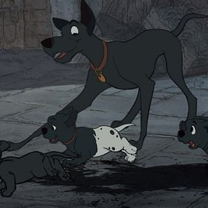 Foto 101 dálmatas: La noche de las narices frías