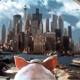 Foto Babe, el cerdito en la ciudad