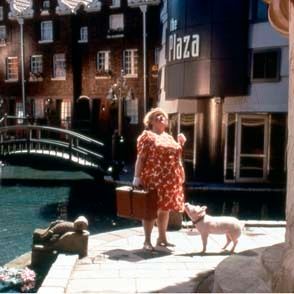 Foto Babe, el cerdito en la ciudad