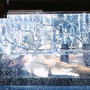 Foto X-Men orígenes: Wolverine