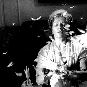 Foto El ángel exterminador