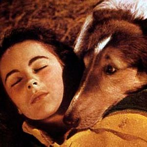 Foto Elizabeth Taylor