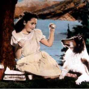 Foto Elizabeth Taylor