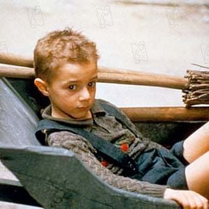 Foto La vida es bella