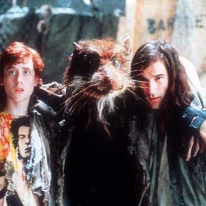 Foto Las tortugas Ninja