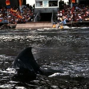 Foto Jaws 3-D: El gran tiburón