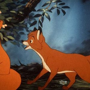 Foto El zorro y el sabueso