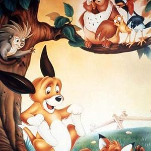 Foto El zorro y el sabueso