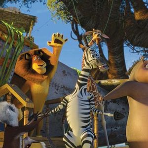 Foto Madagascar 2