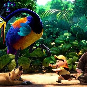 Foto Up, una aventura de altura