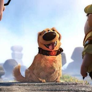 Foto Up, una aventura de altura