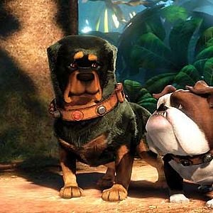 Foto Up, una aventura de altura