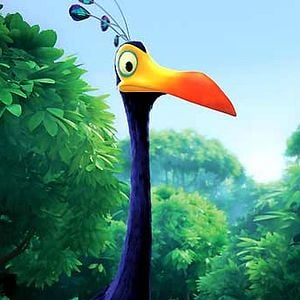 Foto Up, una aventura de altura