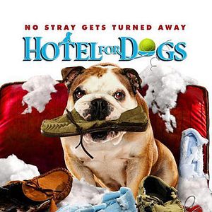 Foto Hotel para perros