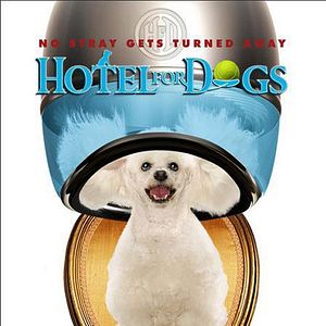 Foto Hotel para perros