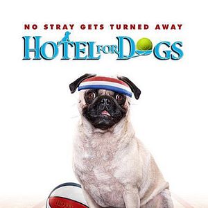 Foto Hotel para perros