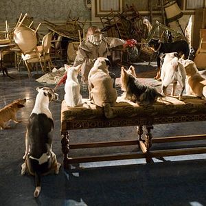 Foto Hotel para perros