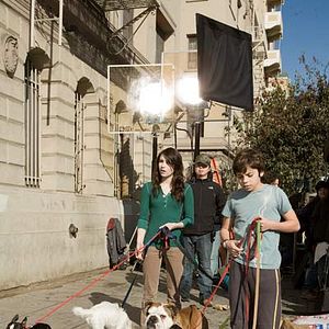 Foto Hotel para perros