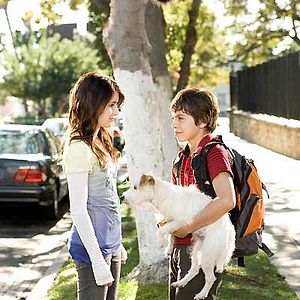 Foto Hotel para perros