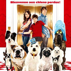 Foto Hotel para perros